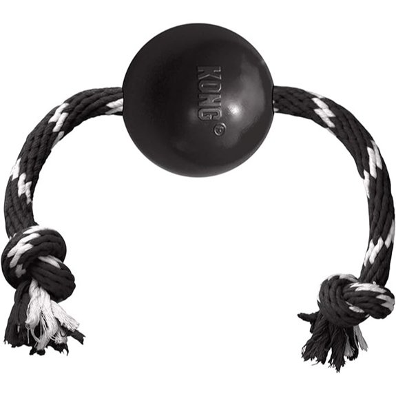 KONG Extreme Ball with Rope for Large Dogs