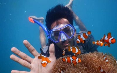 Wisata Karimunjawa 2022
