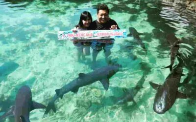 Harga paket wisata karimunjawa 3 hari 2 malam