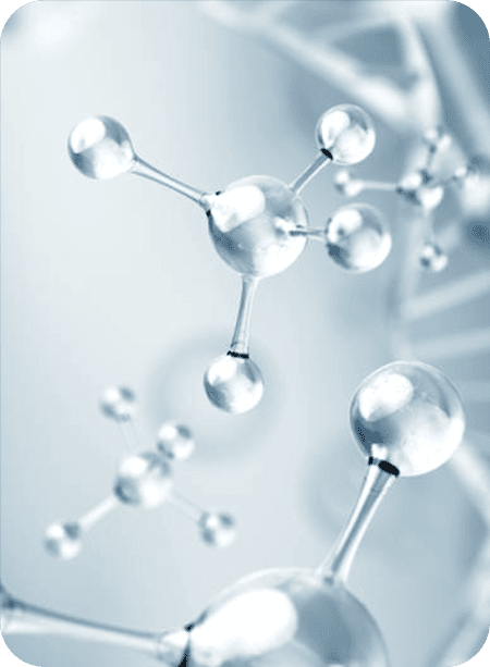 fund over view / ファンド概要