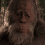 Surly Sasquatch