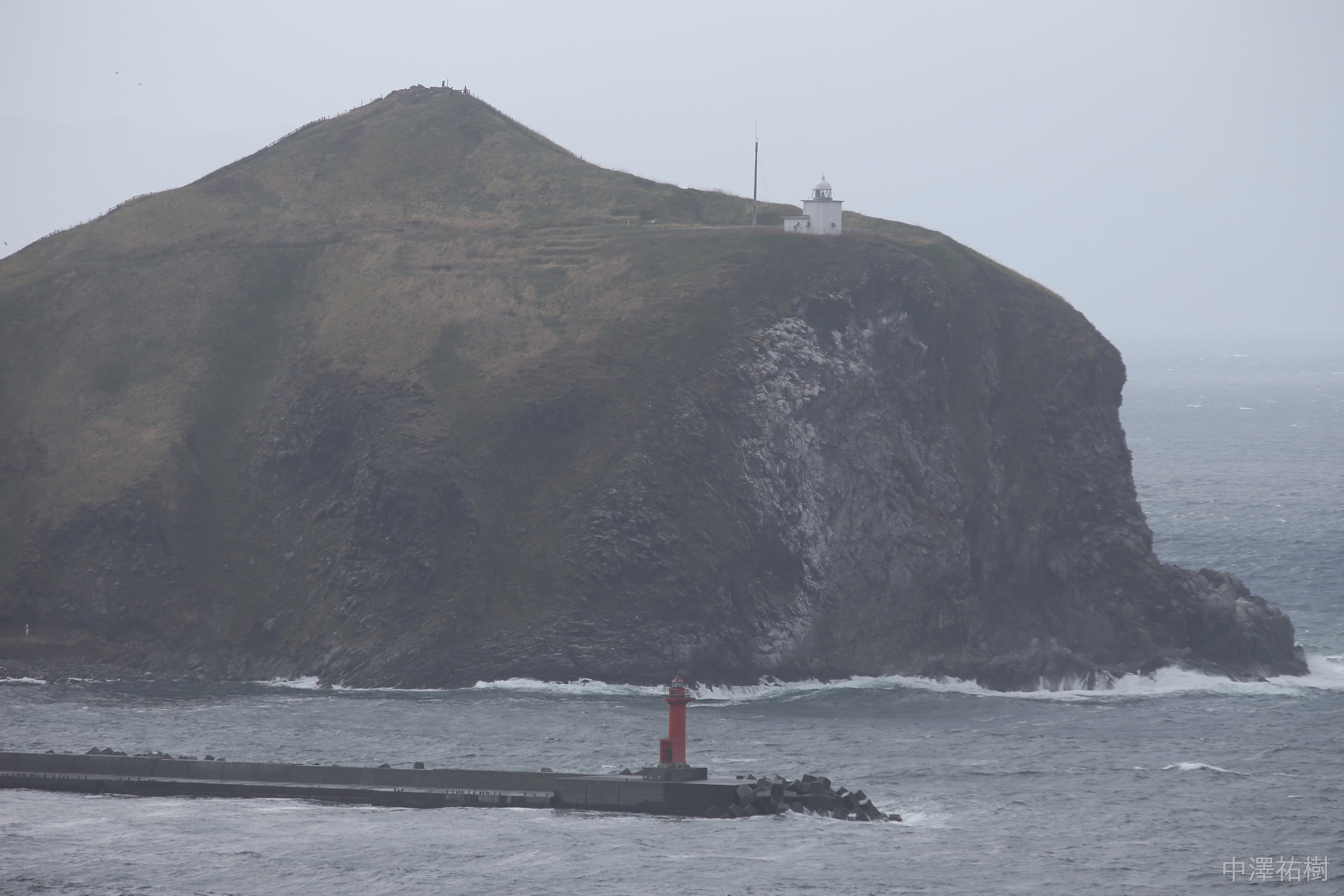 113.富士野園地の灯台と海岸線