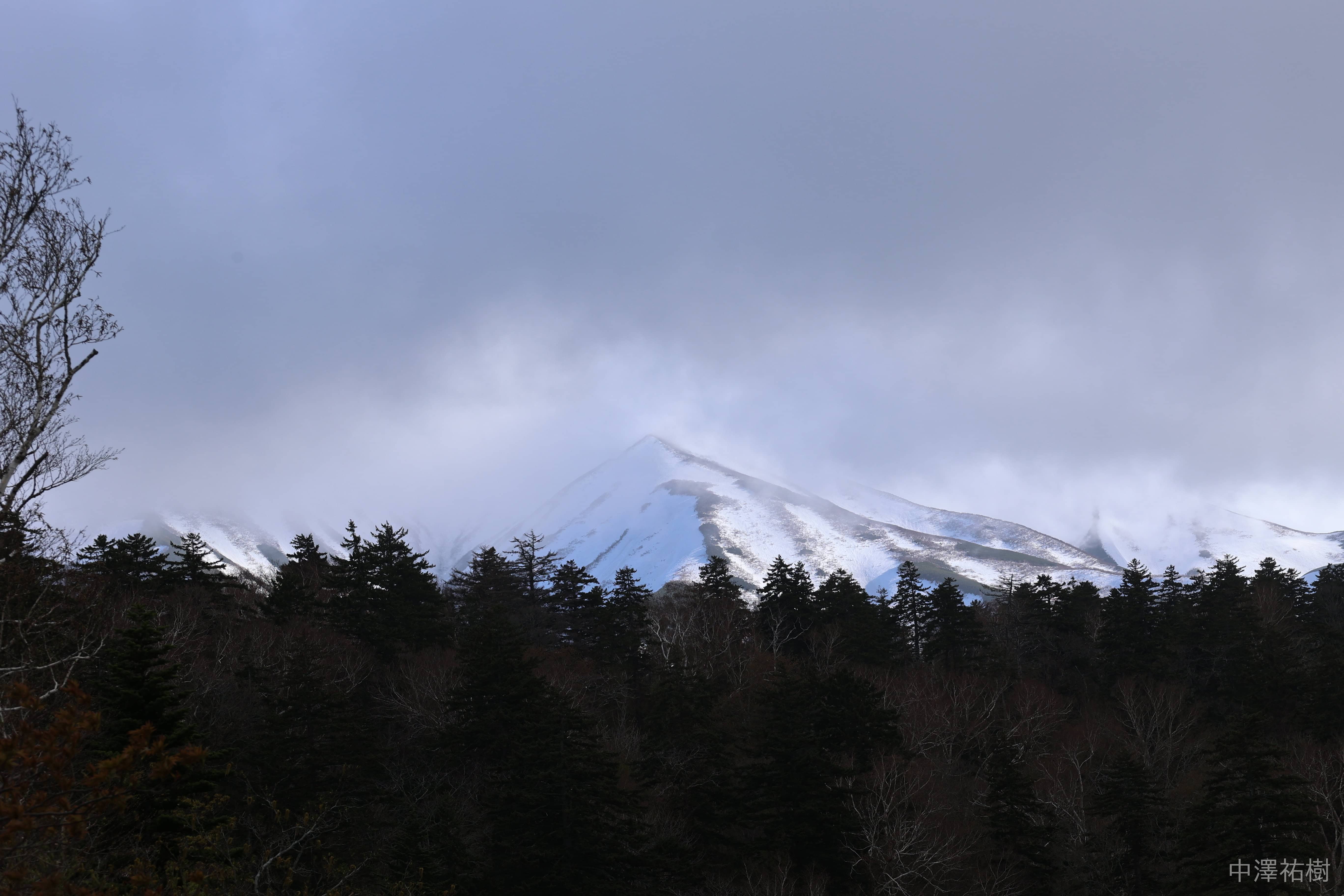 142.雪覆う山々と木々の風景