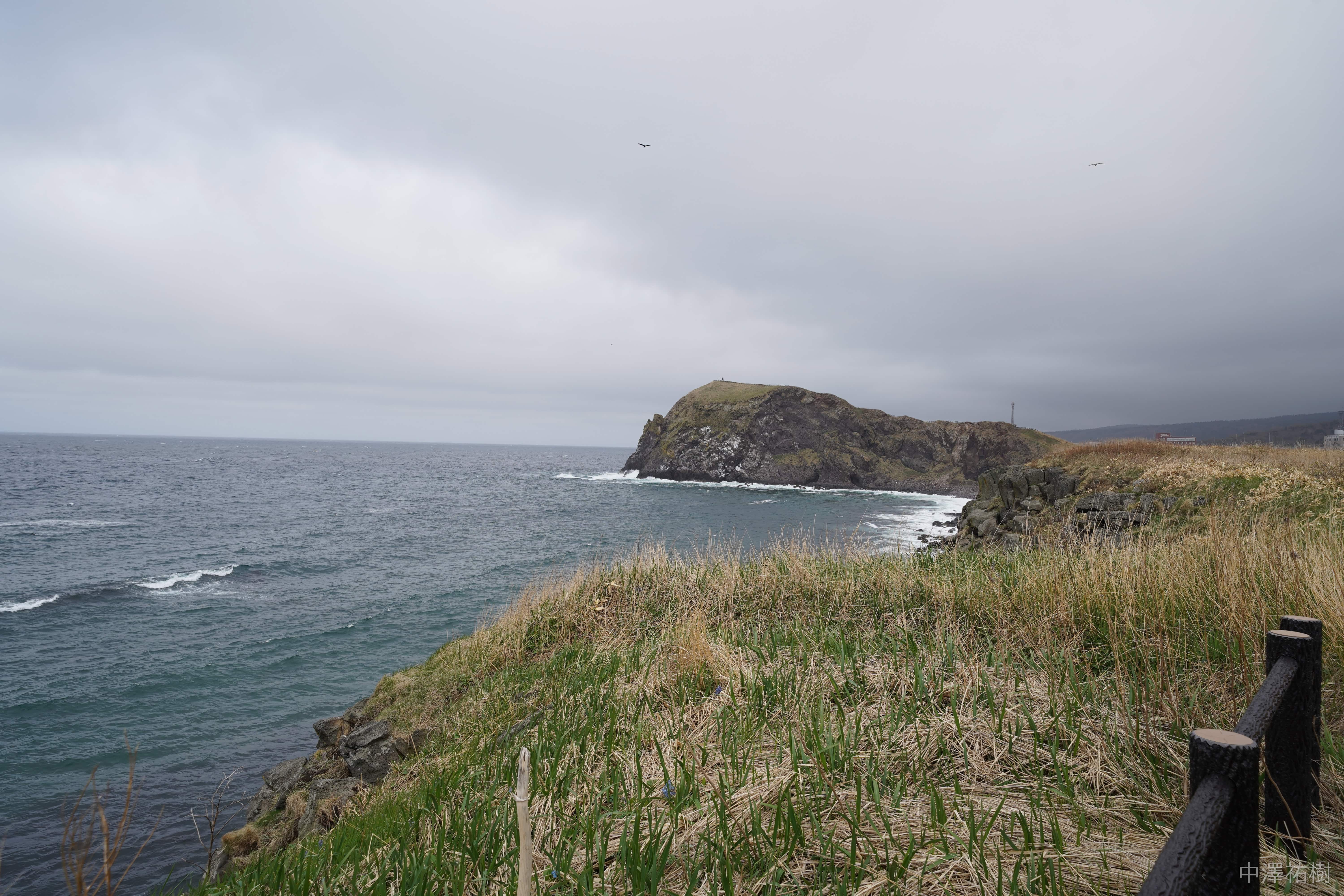 54.富士野園地の海岸線と岩場