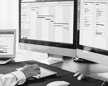 Project Management