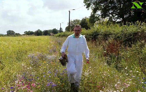 Apiculteur dans une prairie