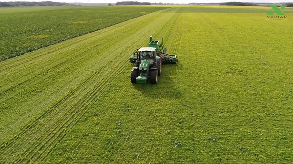 Tracteur dans un champ agricole