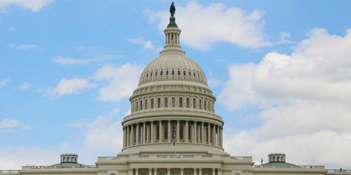 syed-f-hashemi-SfUETerkRKE-unsplash