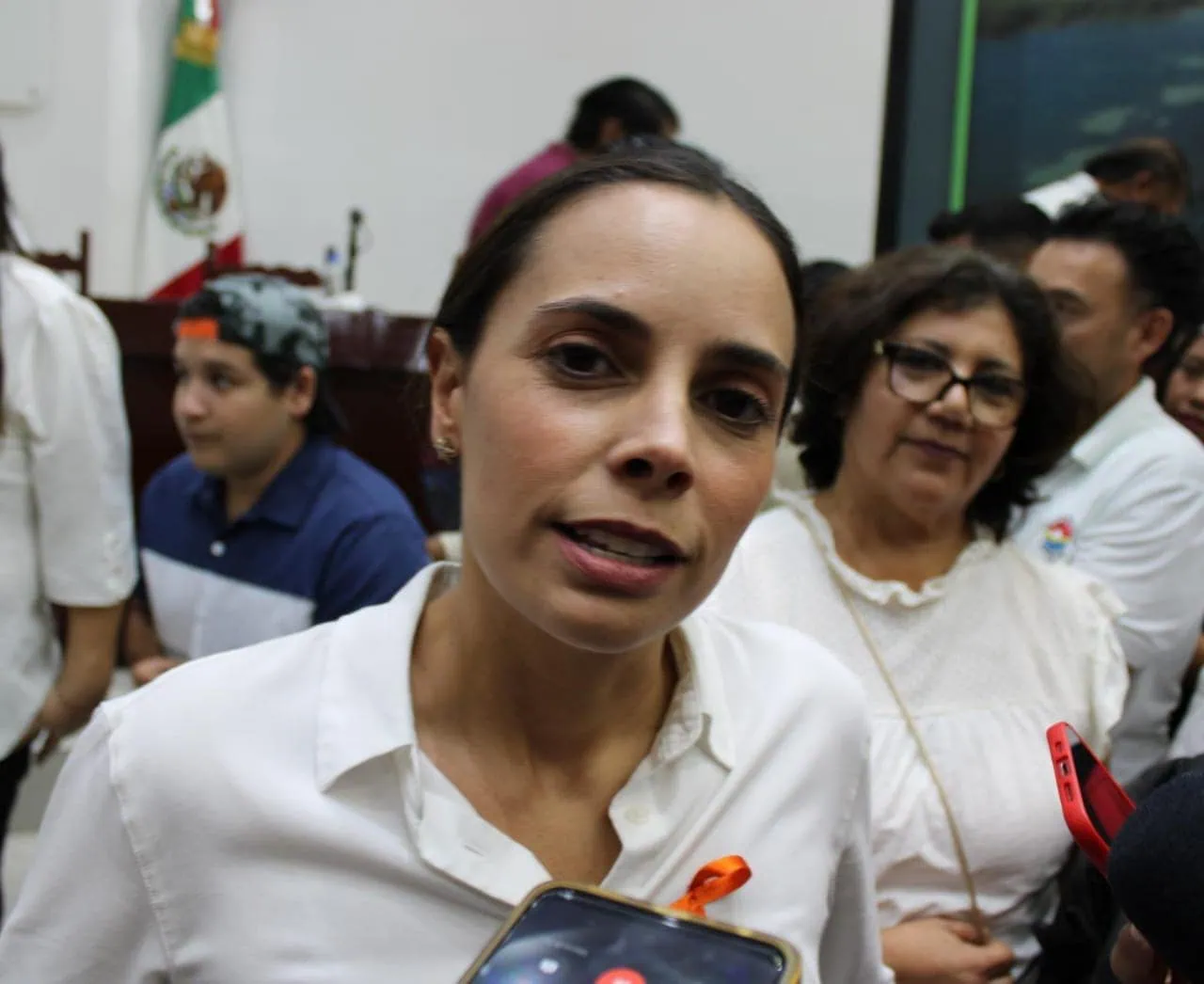 Ana Patricia Peralta solicitará licencia para proceso interno