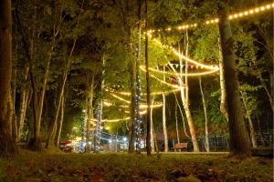 Magical Winter Light Solutions: Unlocking Revenue Potential for Caravan and Holiday Parks