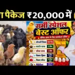 पोल्ट्री फार्मिंग,कम लागत में शुरू करें 