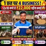 छत से ₹22,000 महीना: जानिए कैसे!