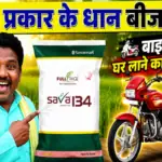 बीजों का चयन : धान की खेती