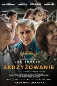 Skrzyżowanie