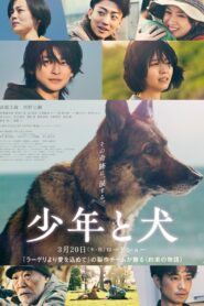 少年と犬
