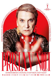 Przyszła w nocy