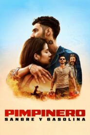 Pimpinero – krew i benzyna