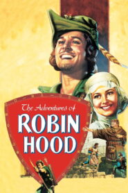 Przygody Robin Hooda