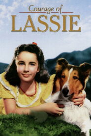 Odwaga Lassie