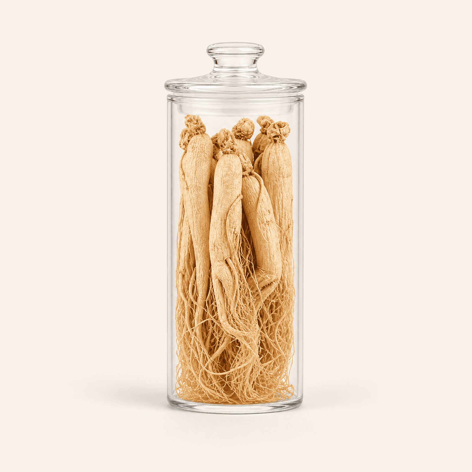REN SHEN - 白参 - White Ginseng Roots. Custom Amount