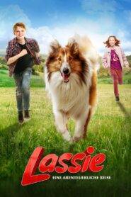 Lassie, wróć!