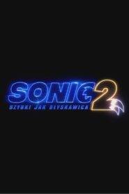 Sonic 2: Szybki jak błyskawica