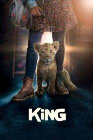 King: Mój przyjaciel lew