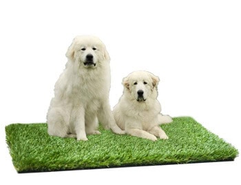 6. MTBRO Artificial Grass Rug, Realistic Artificial Turf