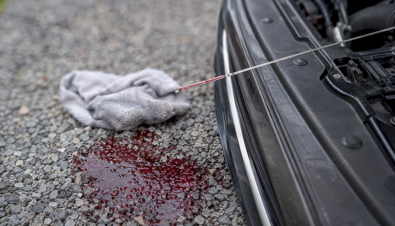 Transmission fluid puddle and dipstick close-up