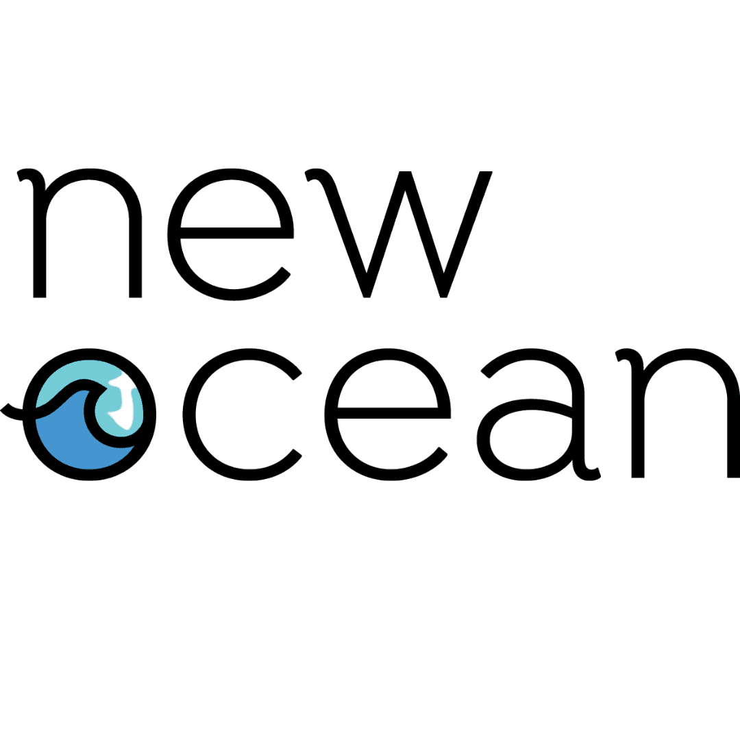 Logo of the New Ocean app featuring the words 'new ocean' in lowercase black letters. The 'o' in 'ocean' is stylized as a blue circular wave icon with a globe inside.
