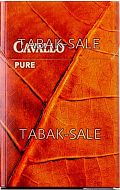 Cavallo pure