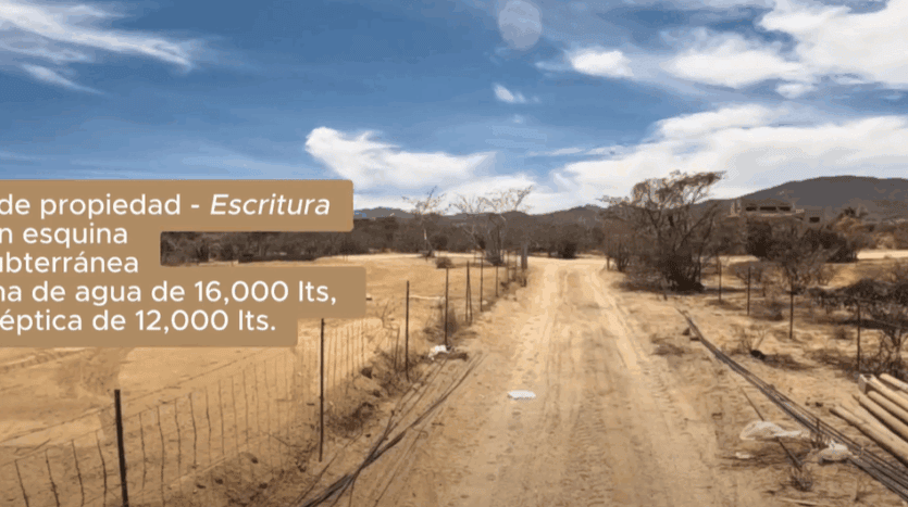 Lote Ballena Gris – El Sargento, B.C.S.
