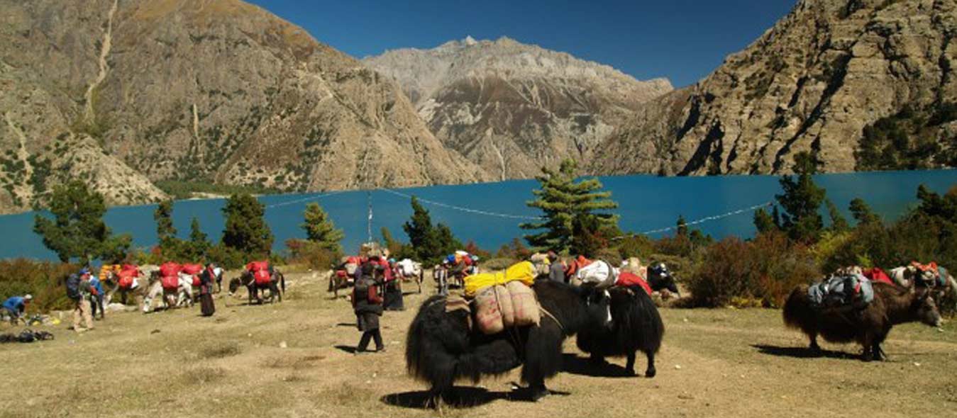 Upper Dolpa Trek