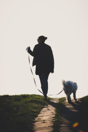 Owner on walk with his dog on leash 287x 430