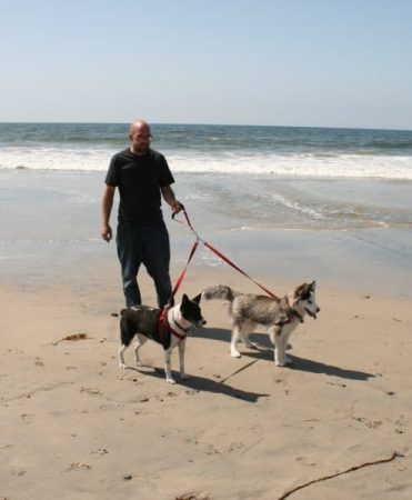 Double leashed dogs with owner on beach 371 x 450