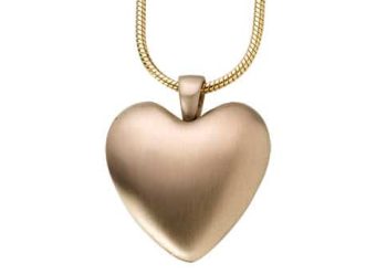 bronze heart pendant pet memorial keepsake 485 x 344