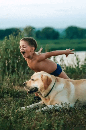 Dog and Boy ready to jump into Lake in Summer 450 x 300