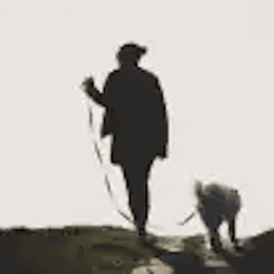 Pet dog master walking his dog