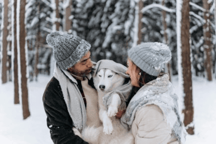 Dog with couple carrying their dog in winter by Pexels 430 x 286