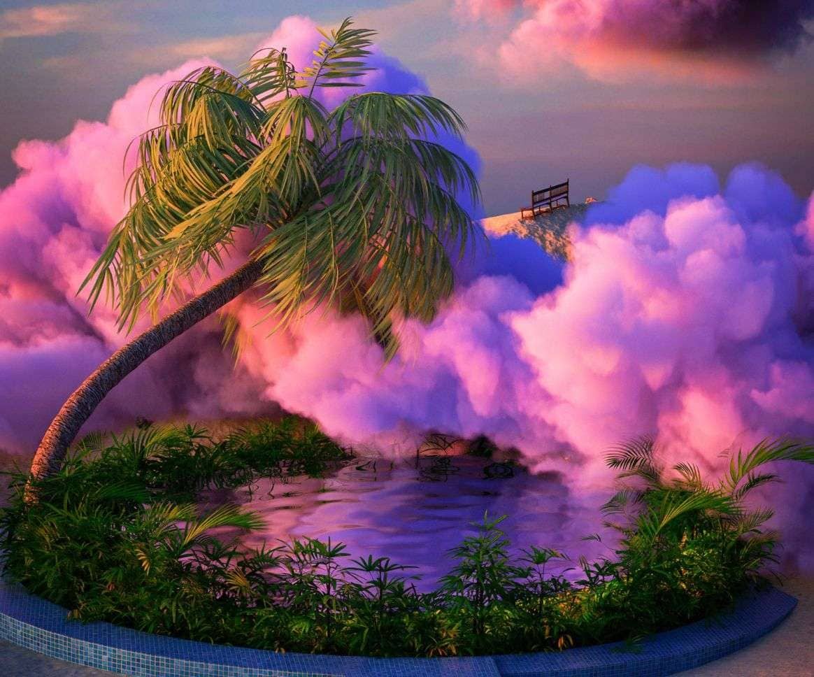 palm tree and pink clouds palm tree and pink clouds