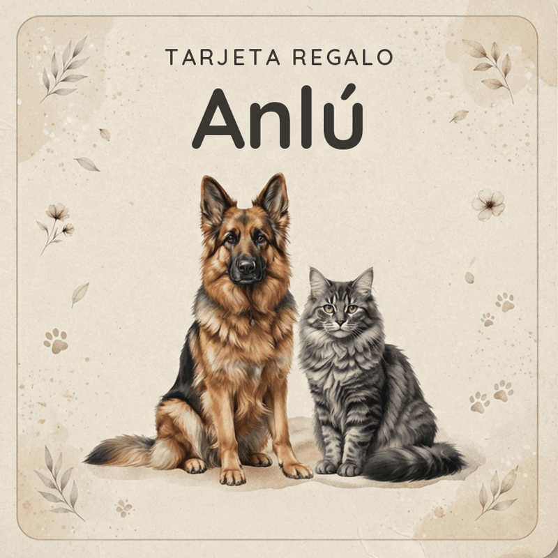 Tarjeta de Regalo Anlú