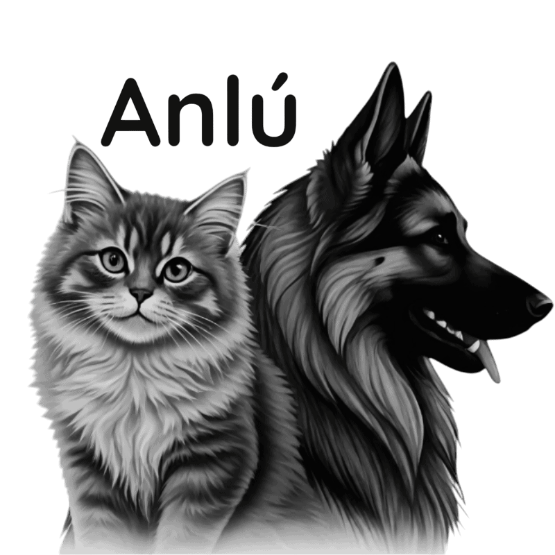anlu-photoroom
