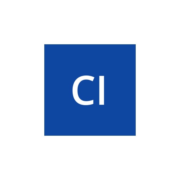 CyberVision International