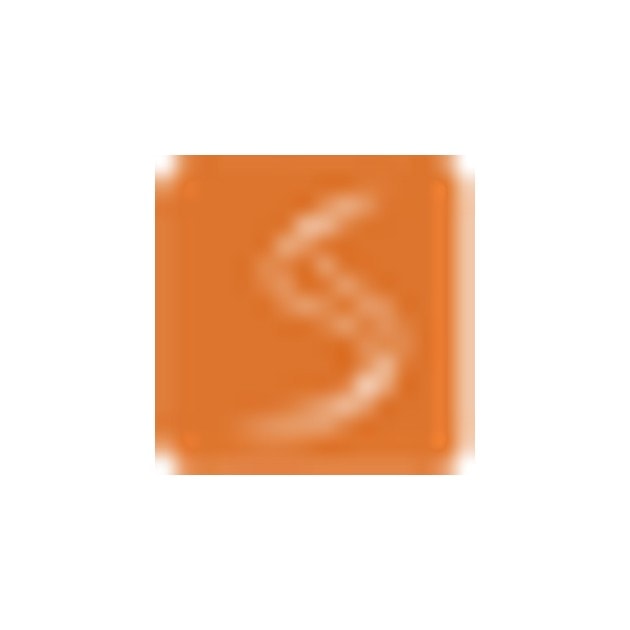 S Ventures