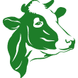 Cow-Head-Green