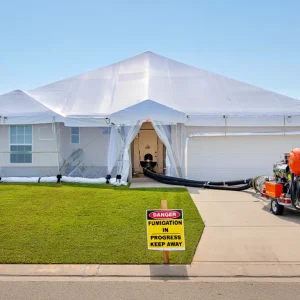 Fumigacja w Pruszkowie – Zwalczanie szkodników drewna skutecznymi metodami