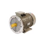 Atlas Three Phase Aluminum Electric Motor