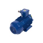 Atlas three phase Explosion Proof Electric Motor