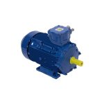 Atlas three phase Explosion Proof Electric Motor