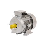 Python three phase Explosion Proof Electric Motor